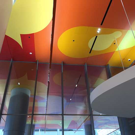 Shirley Ryan Ability Lab Rehabilitation Institute of Chicago Project by Ascher Brothers